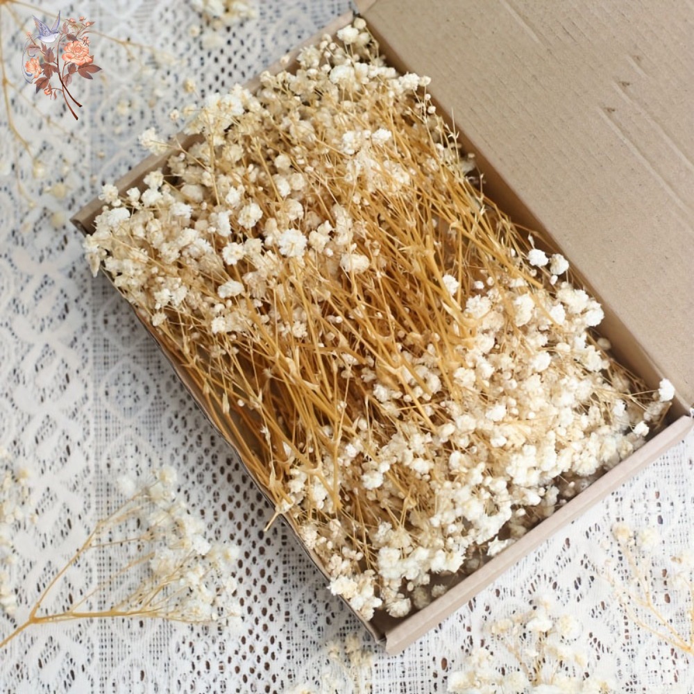 Craft Embellishments - ดอกยิปโซฟิล่าแห้งขนาดเล็ก 100 ชิ้น สำหรับงานประดิษฐ์เรซิน DIY ตกแต่งบ้าน