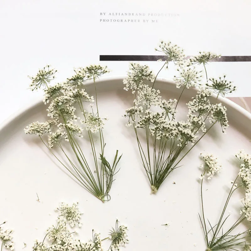 5-7 ซม./12 pcs,หิมะเล็กๆดอกไม้ - Craft Embellishments บทวิจารณ์และราคา