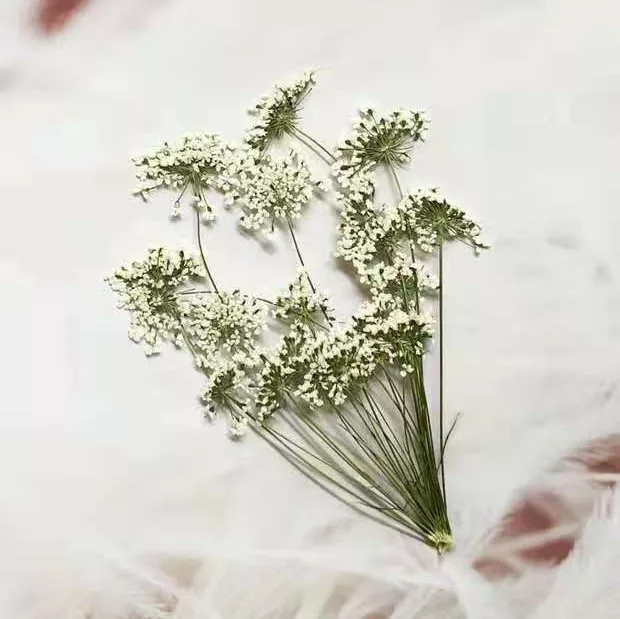 5-7 ซม./12 pcs,หิมะเล็กๆดอกไม้ - Craft Embellishments บทวิจารณ์และราคา