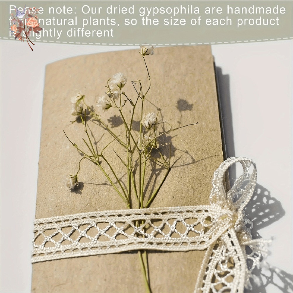 ดอกยิปโซฟิล่าแห้งขนาดเล็ก 100  - Craft Embellishments บทวิจารณ์และราคา